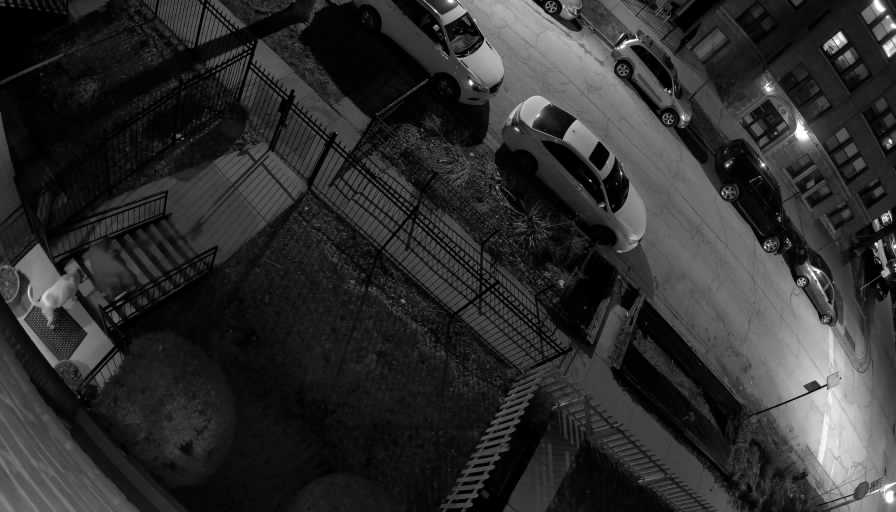 Reolink Camera Two_01_Reolink Home Hub One_20260323211957.jpg